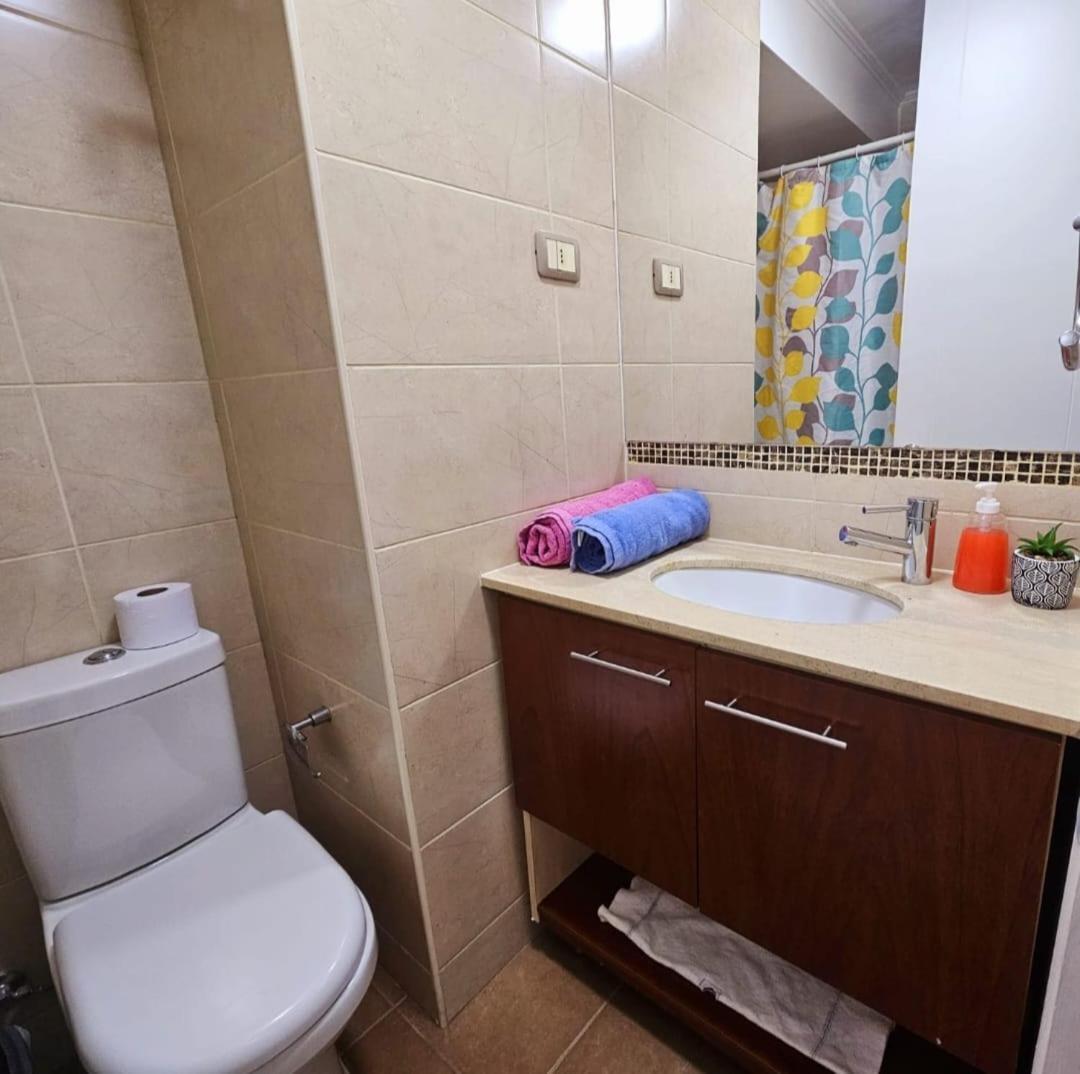 Apart Hotel Suagon Suites Santiago Centro Εξωτερικό φωτογραφία